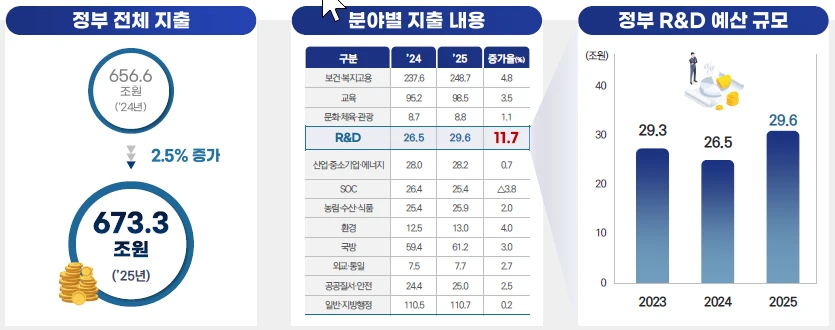 2025년 정부과제 예산 개요